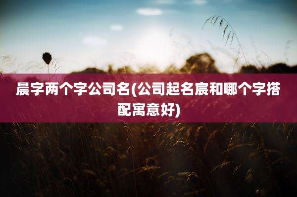 晨字两个字公司名(公司起名宸和哪个字搭配寓意好)