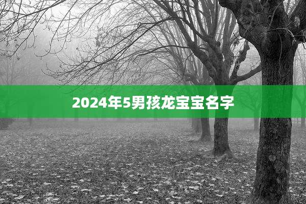 2024年5男孩龙宝宝名字