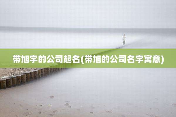 带旭字的公司起名(带旭的公司名字寓意)
