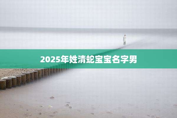 2025年姓清蛇宝宝名字男