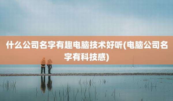 什么公司名字有趣电脑技术好听(电脑公司名字有科技感)