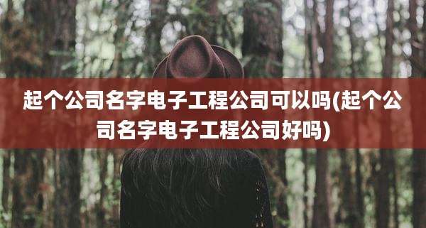 起个公司名字电子工程公司可以吗(起个公司名字电子工程公司好吗)