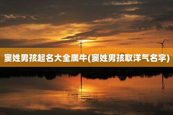 窦姓男孩起名大全属牛(窦姓男孩取洋气名字)