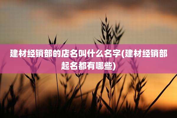 建材经销部的店名叫什么名字(建材经销部起名都有哪些)