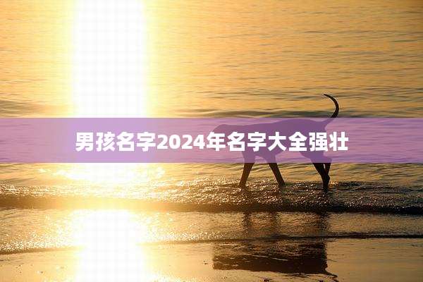 男孩名字2024年名字大全强壮