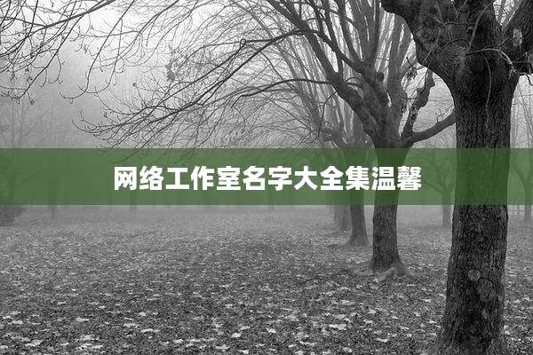 网络工作室名字大全集温馨