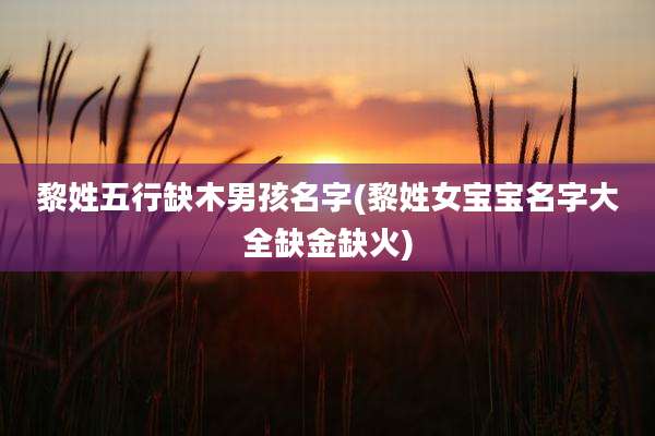 黎姓五行缺木男孩名字(黎姓女宝宝名字大全缺金缺火)