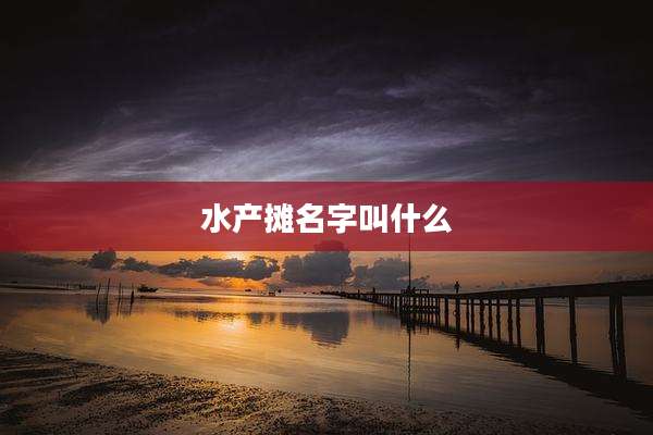 水产摊名字叫什么