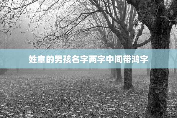 姓章的男孩名字两字中间带鸿字