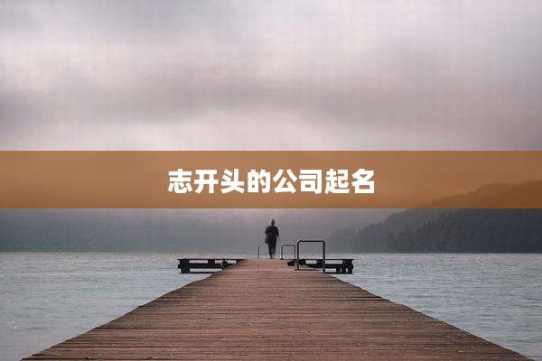 志开头的公司起名