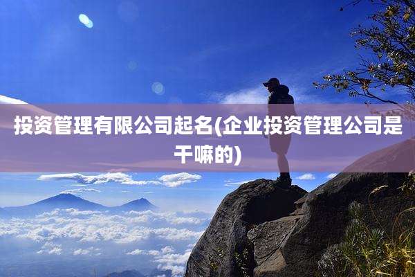 投资管理有限公司起名(企业投资管理公司是干嘛的)