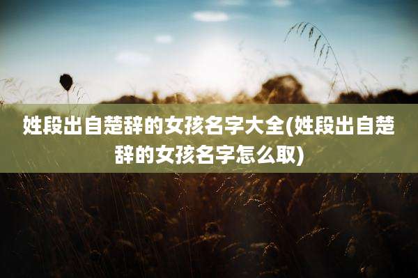 姓段出自楚辞的女孩名字大全(姓段出自楚辞的女孩名字怎么取)