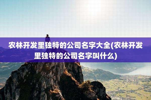 农林开发里独特的公司名字大全(农林开发里独特的公司名字叫什么)