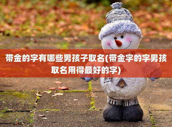 带金的字有哪些男孩子取名(带金字的字男孩取名用得最好的字)