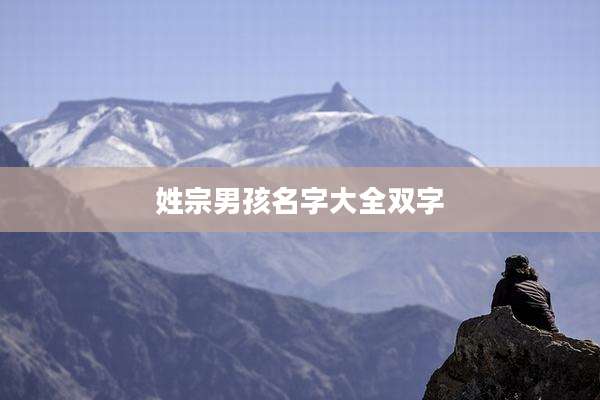 姓宗男孩名字大全双字