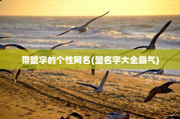 带盟字的个性网名(盟名字大全霸气)