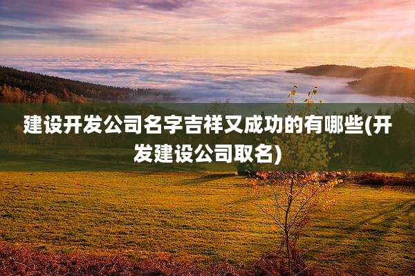 建设开发公司名字吉祥又成功的有哪些(开发建设公司取名)
