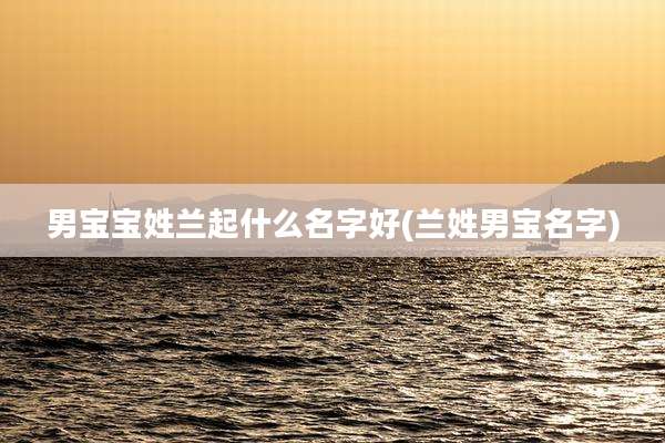 男宝宝姓兰起什么名字好(兰姓男宝名字)