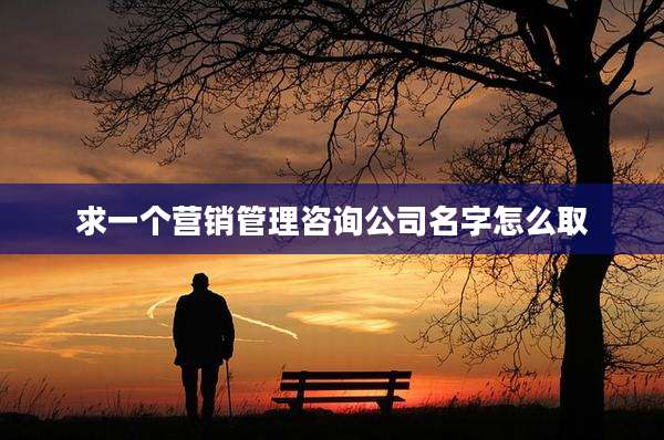 求一个营销管理咨询公司名字怎么取