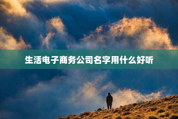 生活电子商务公司名字用什么好听