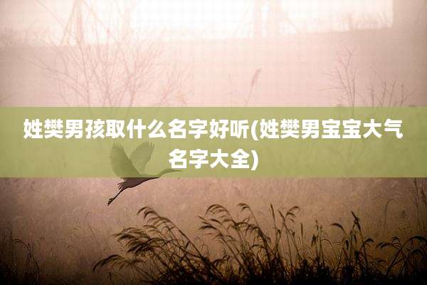 姓樊男孩取什么名字好听(姓樊男宝宝大气名字大全)