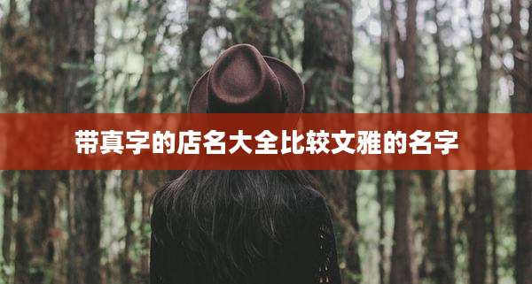 带真字的店名大全比较文雅的名字