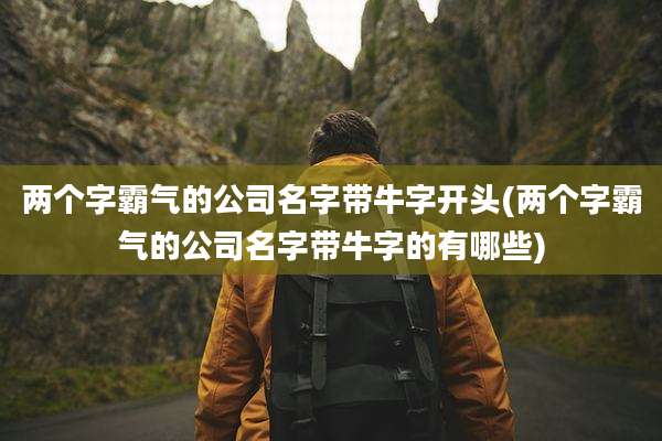 两个字霸气的公司名字带牛字开头(两个字霸气的公司名字带牛字的有哪些)
