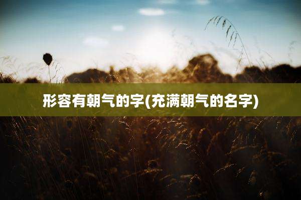 形容有朝气的字(充满朝气的名字)