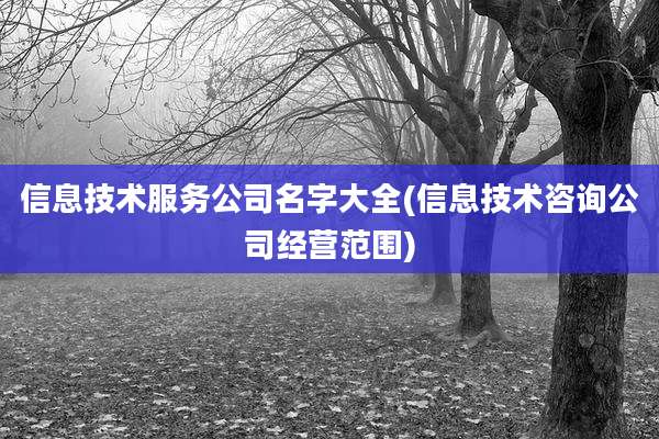 信息技术服务公司名字大全(信息技术咨询公司经营范围)