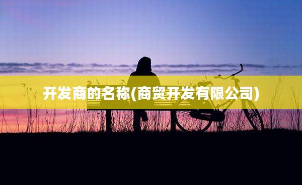 开发商的名称(商贸开发有限公司)