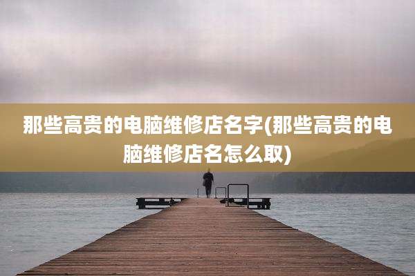 那些高贵的电脑维修店名字(那些高贵的电脑维修店名怎么取)