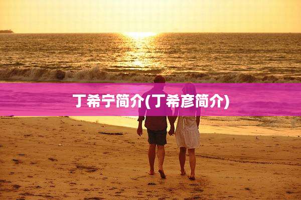 丁希宁简介(丁希彦简介)