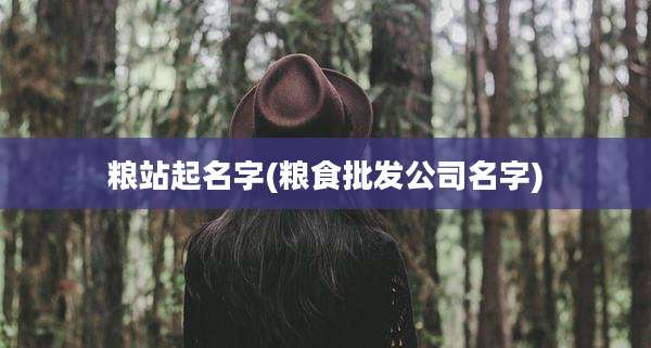 粮站起名字(粮食批发公司名字)