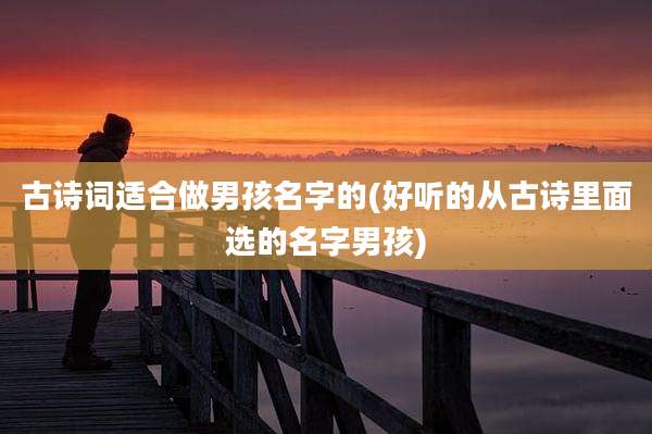 古诗词适合做男孩名字的(好听的从古诗里面选的名字男孩)