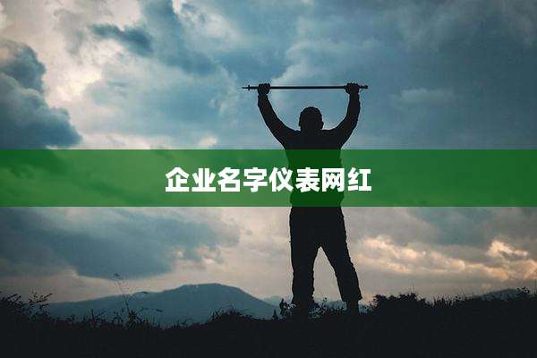 企业名字仪表网红