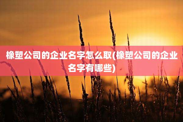 橡塑公司的企业名字怎么取(橡塑公司的企业名字有哪些)