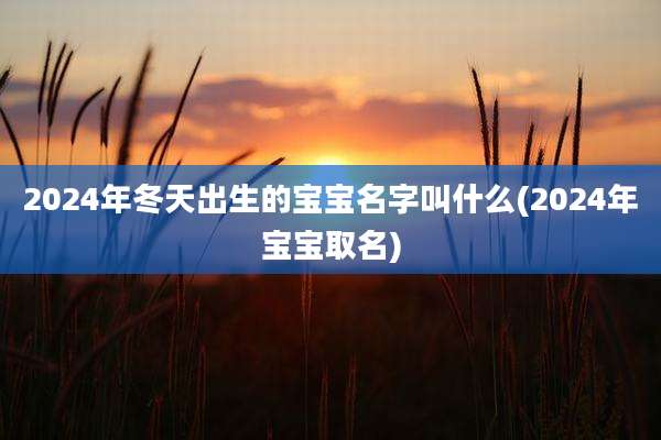 2024年冬天出生的宝宝名字叫什么(2024年宝宝取名)