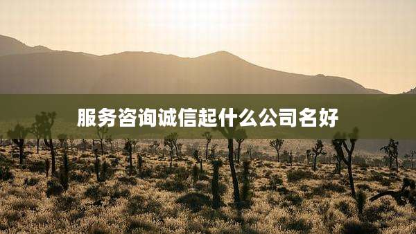 服务咨询诚信起什么公司名好