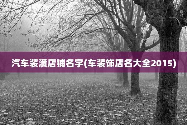 汽车装潢店铺名字(车装饰店名大全2015)