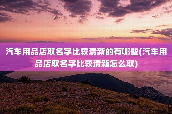 汽车用品店取名字比较清新的有哪些(汽车用品店取名字比较清新怎么取)