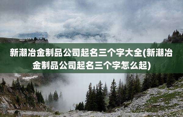 新潮冶金制品公司起名三个字大全(新潮冶金制品公司起名三个字怎么起)