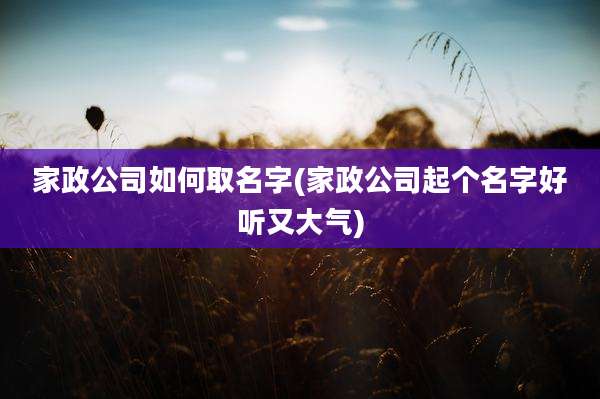家政公司如何取名字(家政公司起个名字好听又大气)