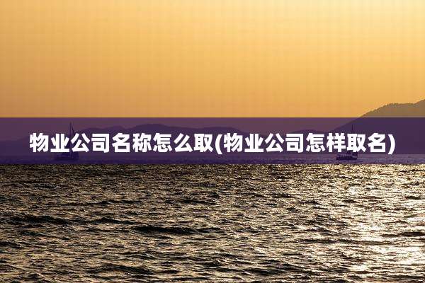 物业公司名称怎么取(物业公司怎样取名)