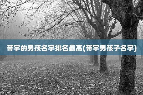 带字的男孩名字排名最高(带字男孩子名字)