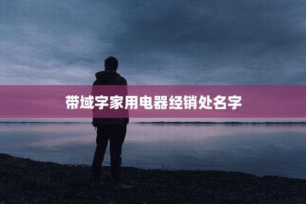 带域字家用电器经销处名字