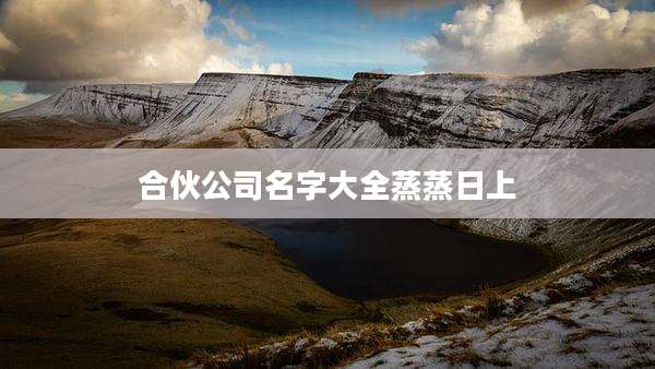合伙公司名字大全蒸蒸日上