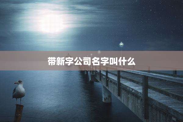 带新字公司名字叫什么