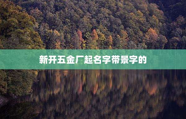 新开五金厂起名字带景字的