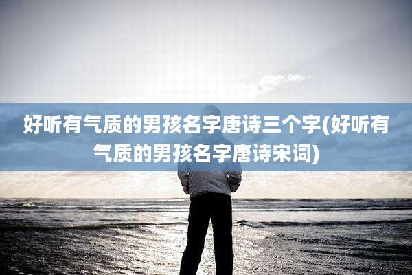 好听有气质的男孩名字唐诗三个字(好听有气质的男孩名字唐诗宋词)