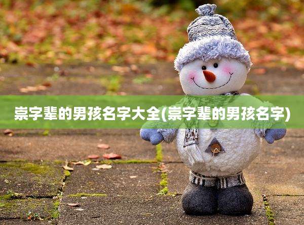 崇字辈的男孩名字大全(崇字辈的男孩名字)
